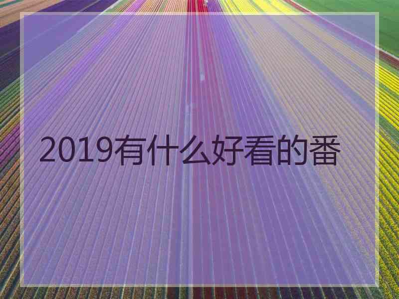 2019有什么好看的番