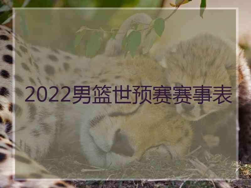 2022男篮世预赛赛事表