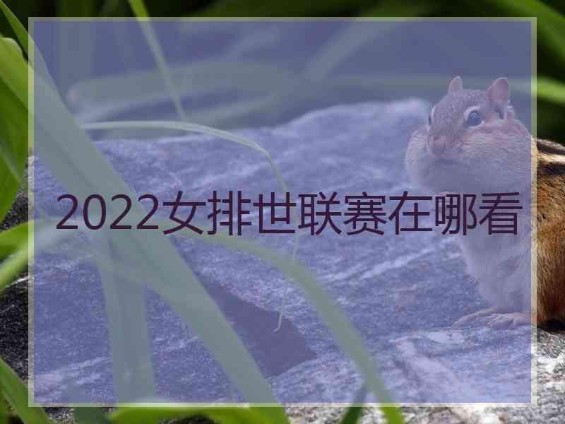 2022女排世联赛在哪看