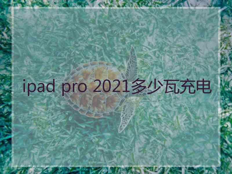 ipad pro 2021多少瓦充电