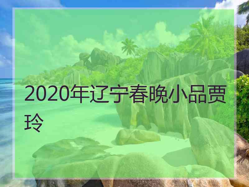 2020年辽宁春晚小品贾玲