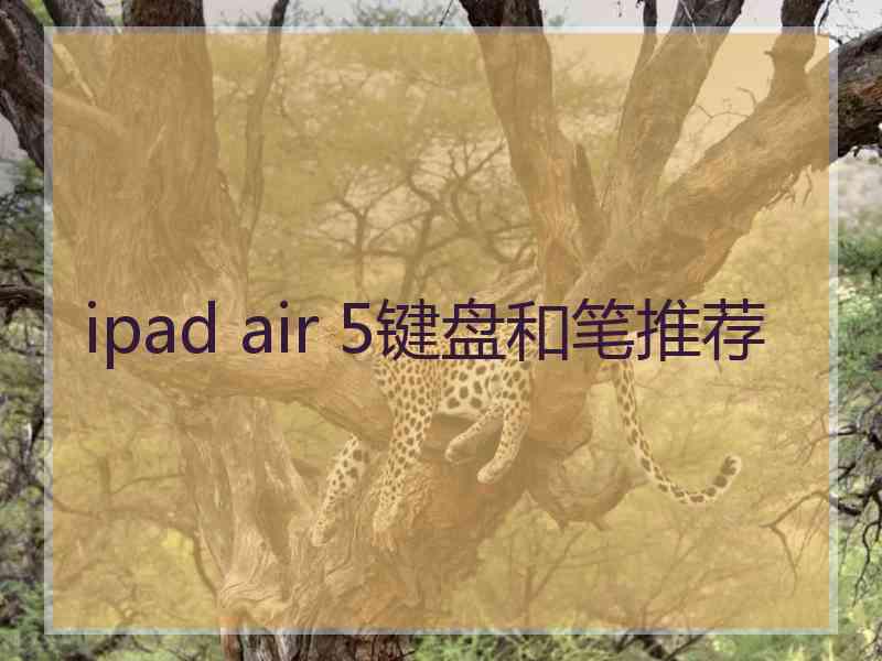 ipad air 5键盘和笔推荐