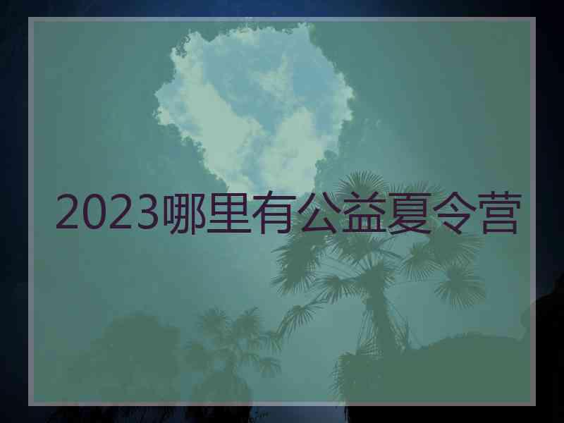 2023哪里有公益夏令营