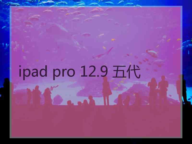 ipad pro 12.9 五代