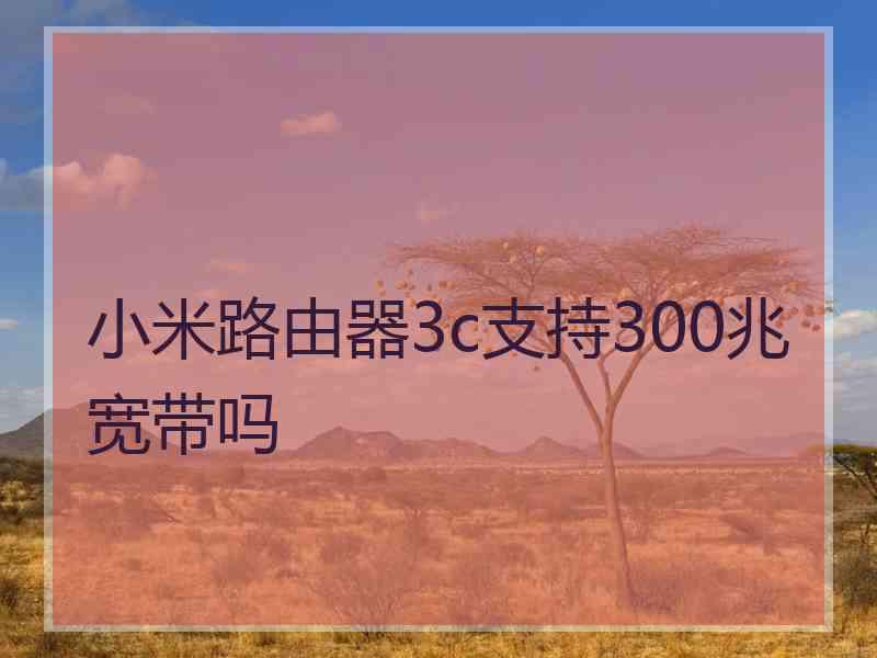 小米路由器3c支持300兆宽带吗