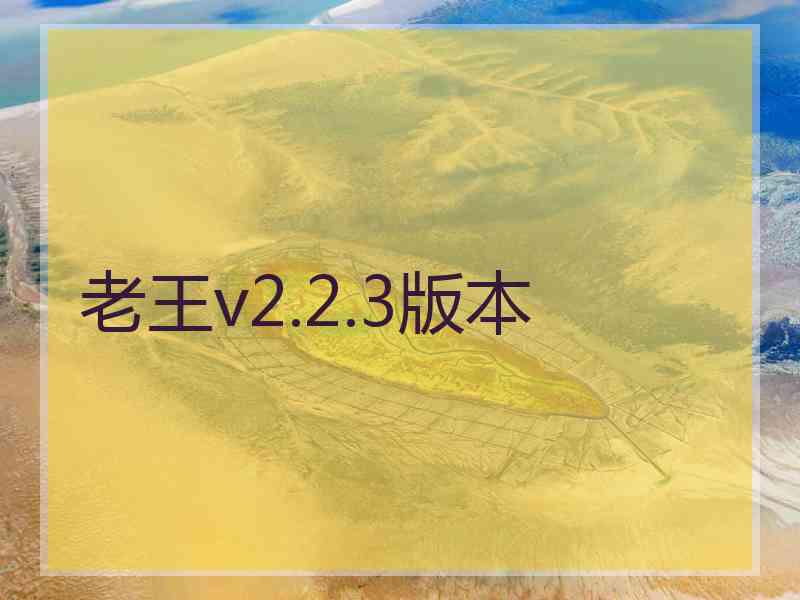 老王v2.2.3版本