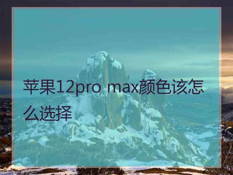 苹果12pro max颜色该怎么选择