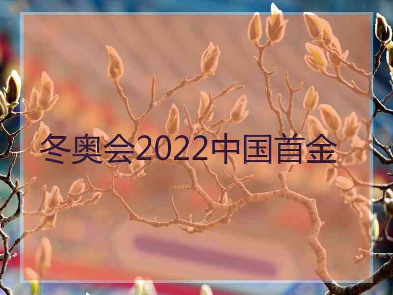 冬奥会2022中国首金