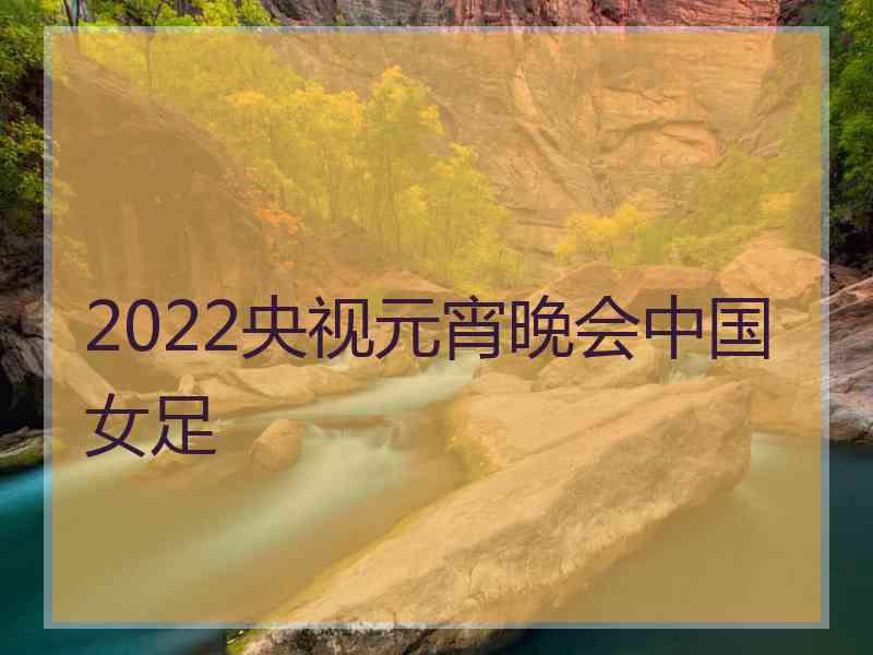 2022央视元宵晚会中国女足