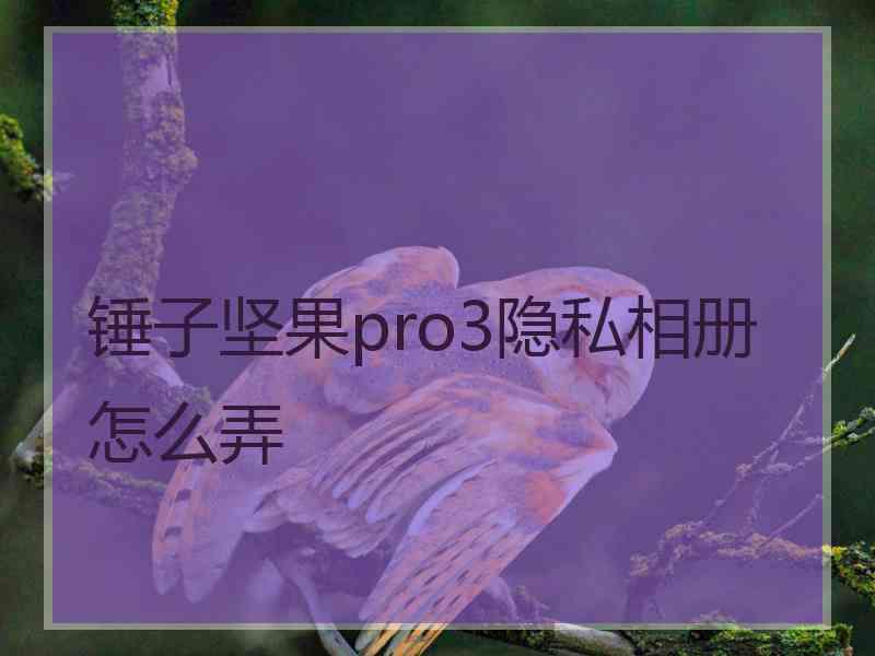 锤子坚果pro3隐私相册怎么弄