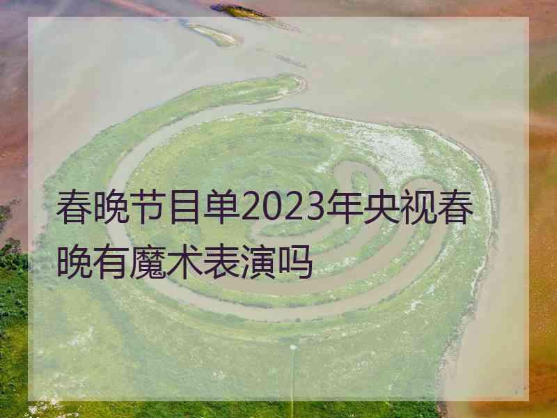 春晚节目单2023年央视春晚有魔术表演吗