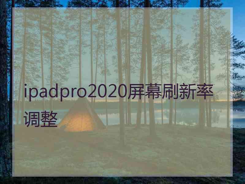 ipadpro2020屏幕刷新率调整