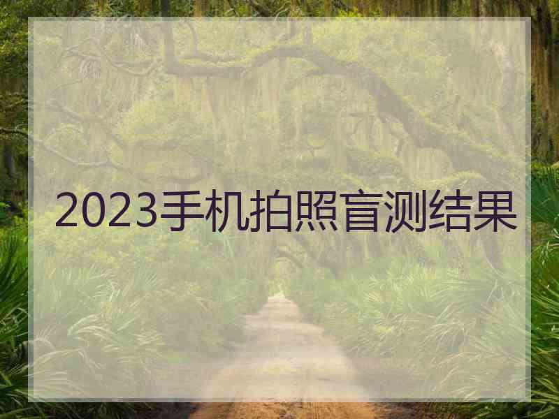 2023手机拍照盲测结果