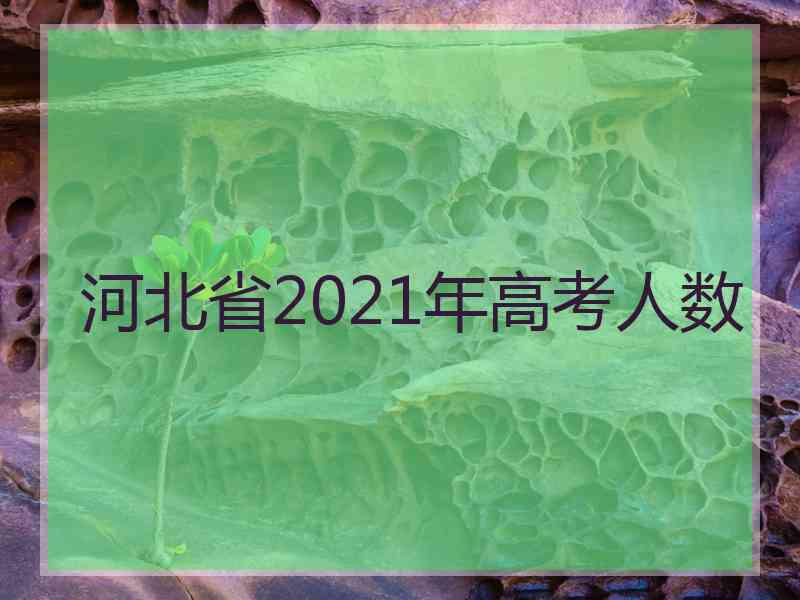 河北省2021年高考人数