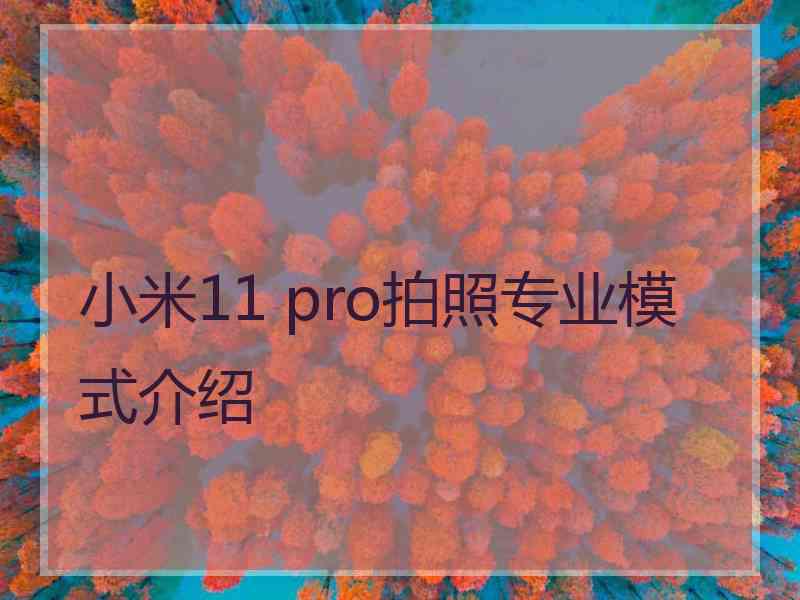 小米11 pro拍照专业模式介绍