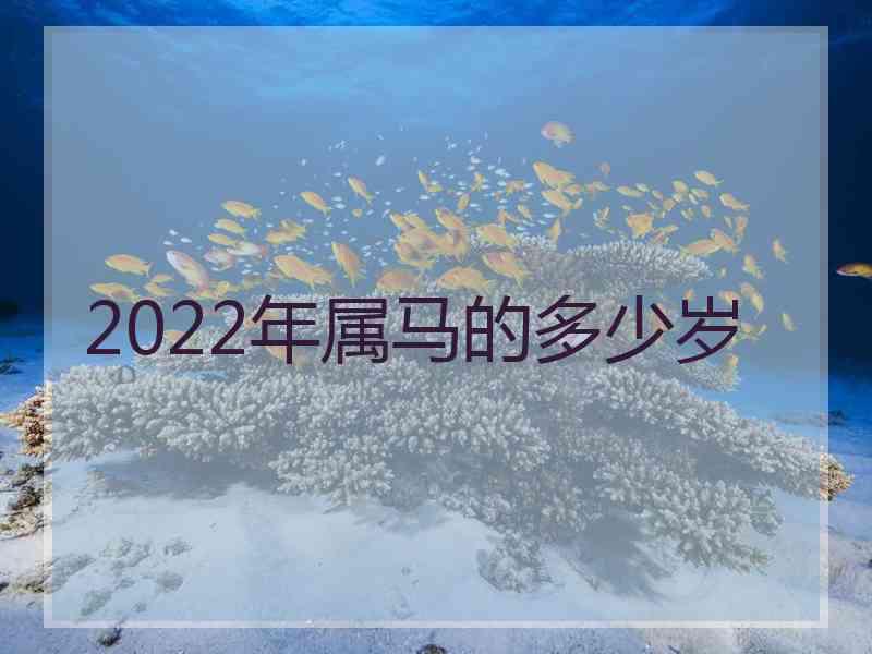 2022年属马的多少岁