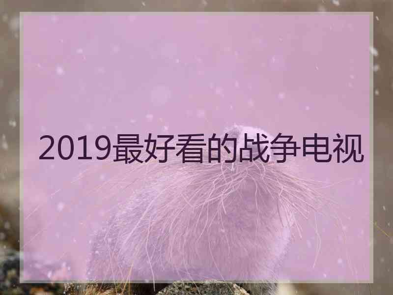 2019最好看的战争电视