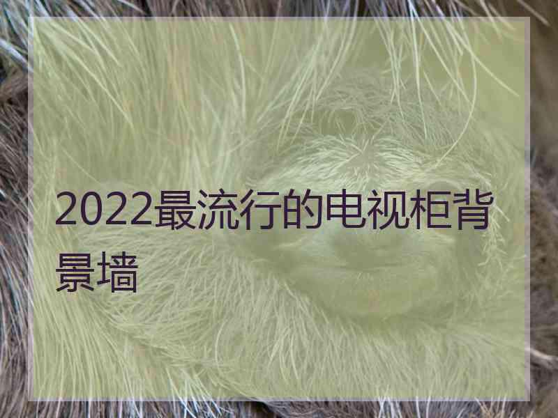 2022最流行的电视柜背景墙