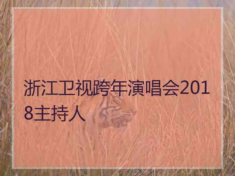 浙江卫视跨年演唱会2018主持人