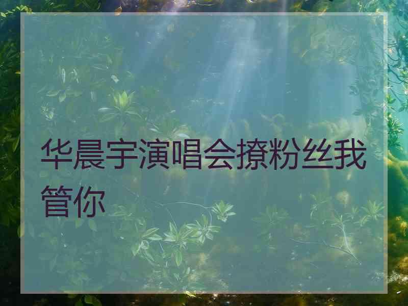 华晨宇演唱会撩粉丝我管你