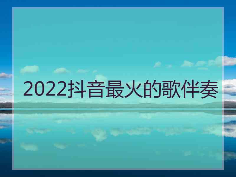 2022抖音最火的歌伴奏