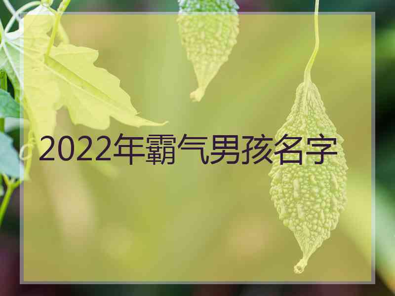 2022年霸气男孩名字