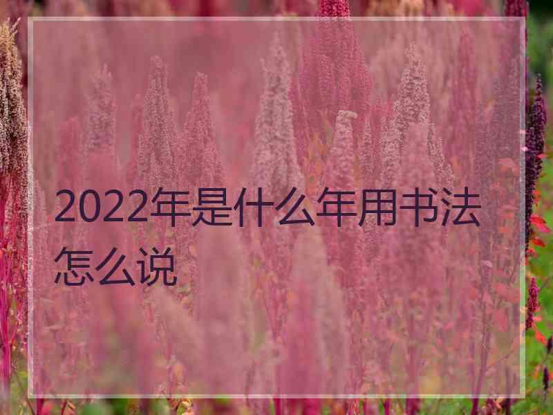 2022年是什么年用书法怎么说