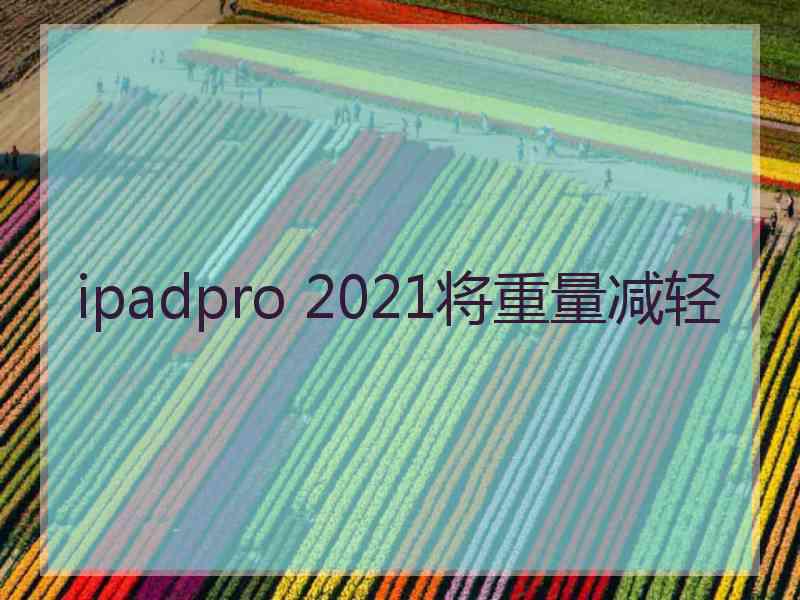 ipadpro 2021将重量减轻