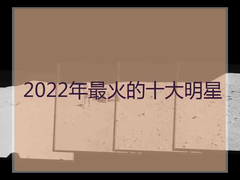 2022年最火的十大明星