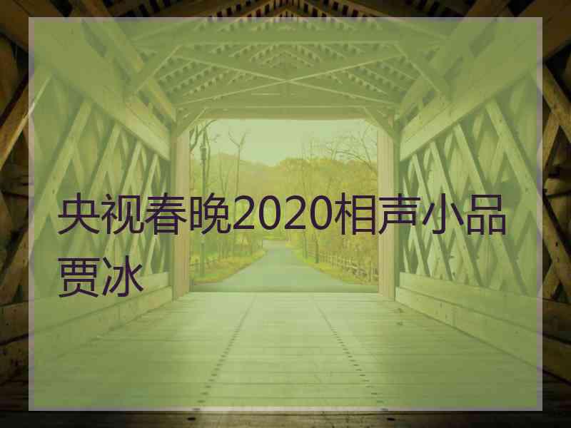 央视春晚2020相声小品贾冰