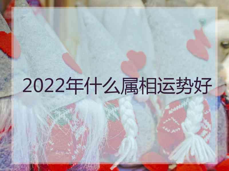 2022年什么属相运势好