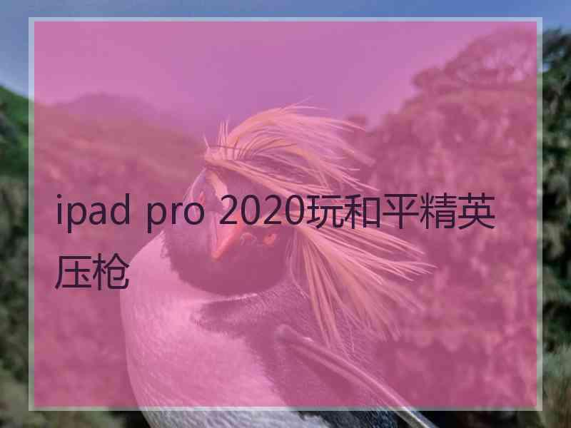 ipad pro 2020玩和平精英压枪