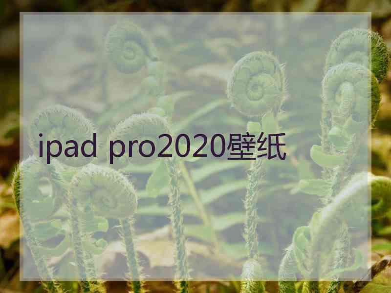 ipad pro2020壁纸