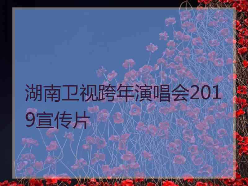 湖南卫视跨年演唱会2019宣传片