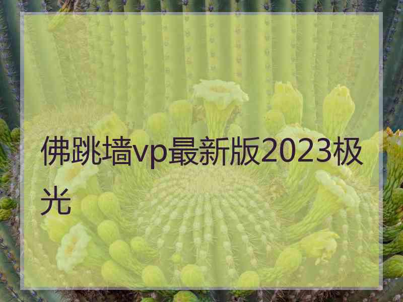 佛跳墙vp最新版2023极光