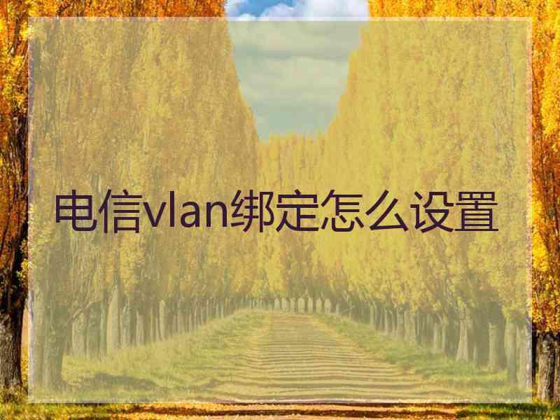 电信vlan绑定怎么设置