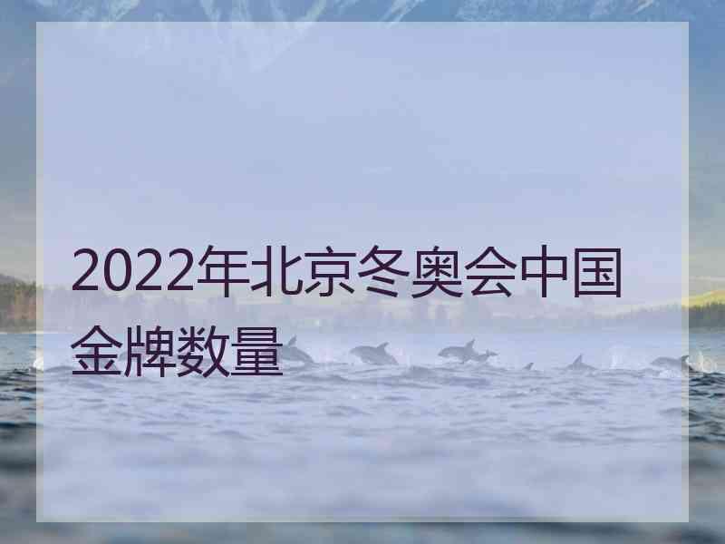 2022年北京冬奥会中国金牌数量