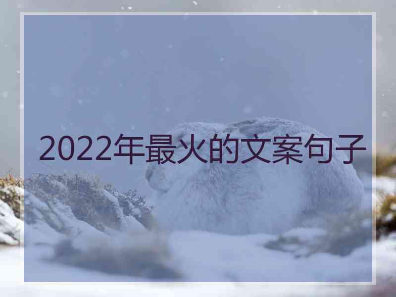 2022年最火的文案句子