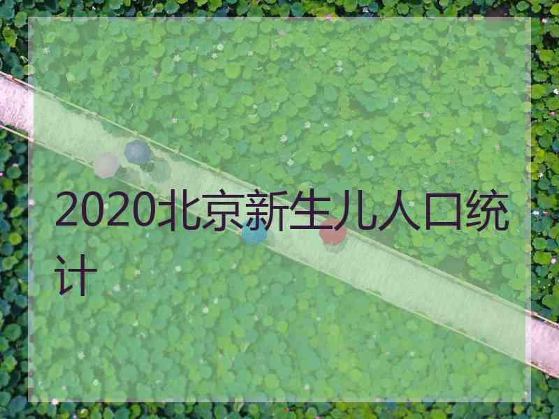 2020北京新生儿人口统计