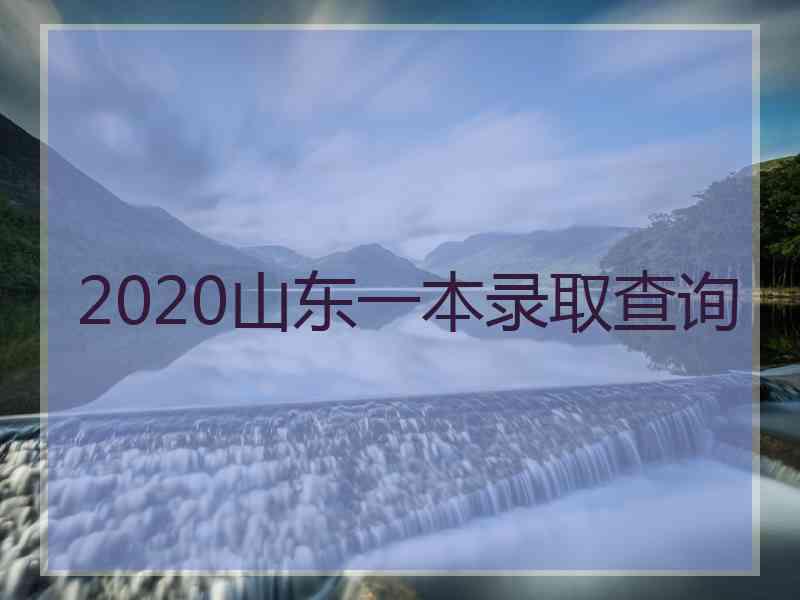 2020山东一本录取查询