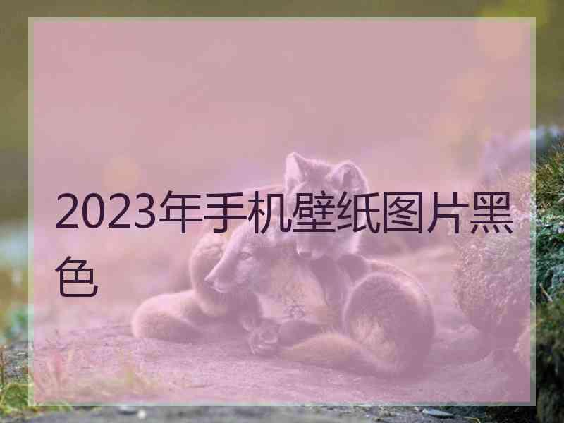 2023年手机壁纸图片黑色