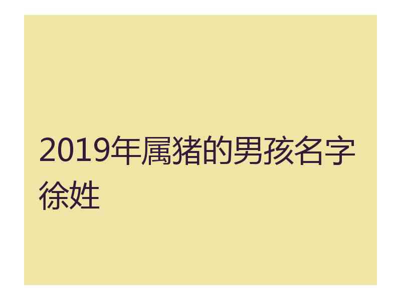 2019年属猪的男孩名字徐姓