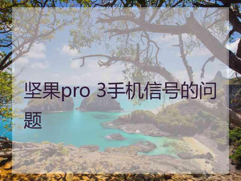 坚果pro 3手机信号的问题