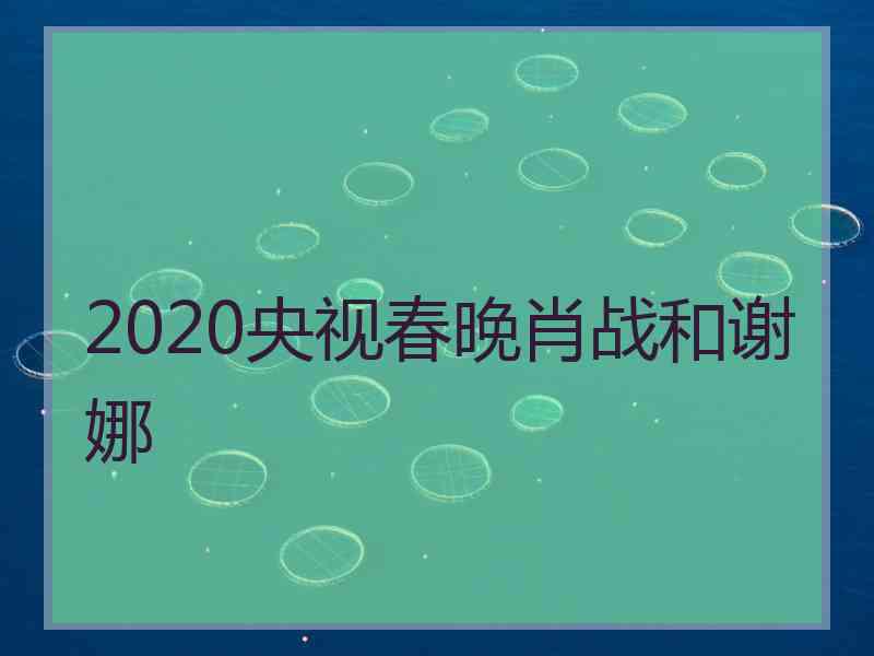 2020央视春晚肖战和谢娜