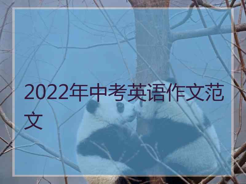 2022年中考英语作文范文