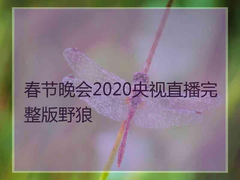 春节晚会2020央视直播完整版野狼