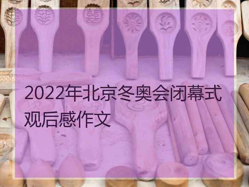 2022年北京冬奥会闭幕式观后感作文