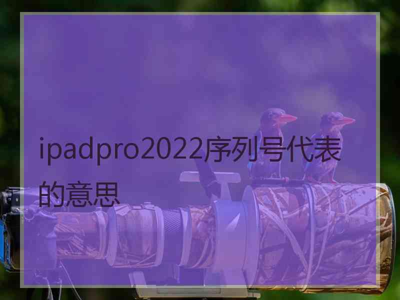 ipadpro2022序列号代表的意思