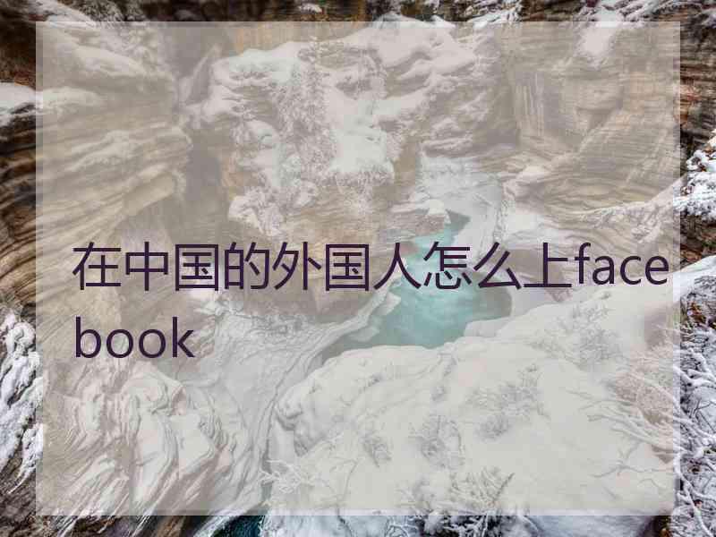 在中国的外国人怎么上facebook