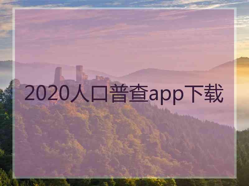 2020人口普查app下载